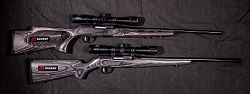 Savage Arms A17 Target and Sporter Models