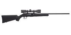 A17 17 HMR Scoped Package