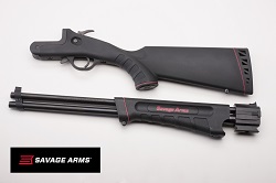 Savage Arms Model 42 Takedown